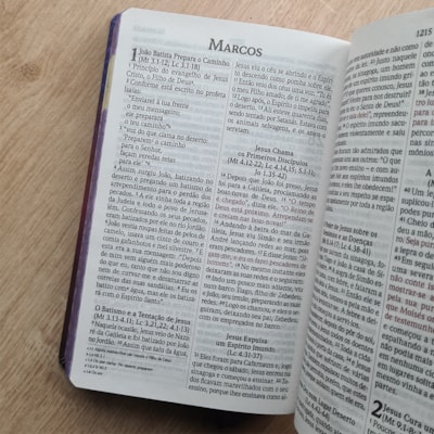 image_91d6fb8a-5063-4191-82e8-bf920bec9439