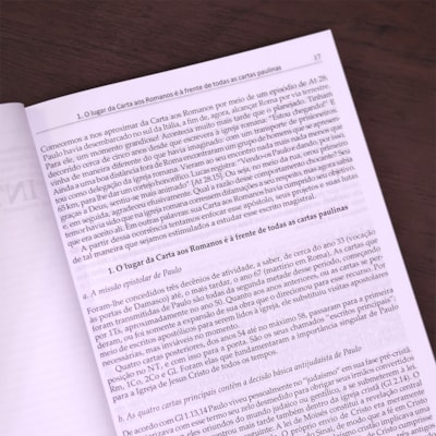 image_1d5d2ba6-bd9e-424a-8057-aefc8a7fcf06