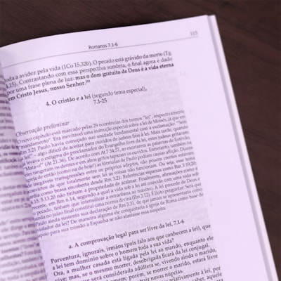 image_ddecc825-ada3-4e9a-814d-80ab02d646aa