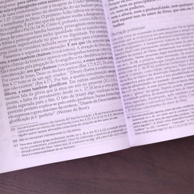 image_3981cd89-5734-4144-9b9d-7ba3c8fff02e