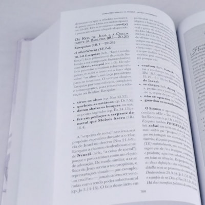 Segunda imagem do produto Comentário Bíblico da Mulher Antigo Testamento | Dorothy Kelley e Rhonda Harrington Kelly