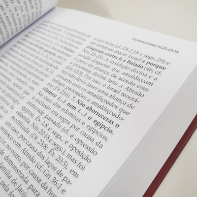 image_333bd876-d4b0-4014-9084-4f9a9221abe7