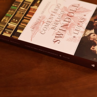 image_49cd81f9-a5d2-4a07-9449-eaae0504d109