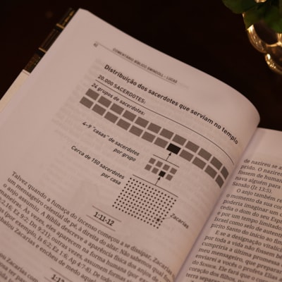 image_192b6d00-70fe-42d0-a9cf-ca4ea7830578