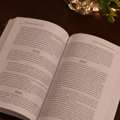 image_819ed9b8-0b0d-4a80-b4e0-b39cef17f108