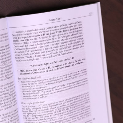 image_b0563755-d2f1-4a55-bda8-10350d67c37e