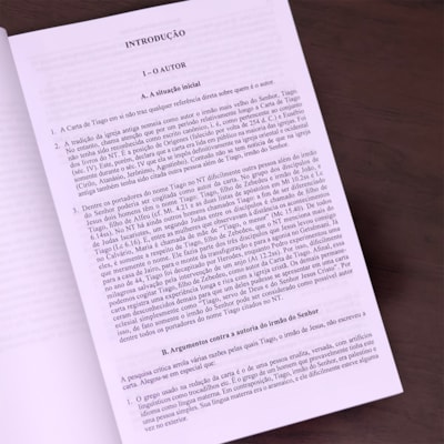 image_115413ff-3d10-43f4-9677-e928218e8cb3