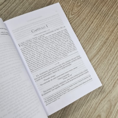 image_05a9b965-6aec-4479-bf11-f04da1293be6