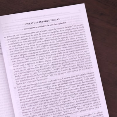 image_338ed7e0-9b35-48d7-b458-1c3e1a6381f6