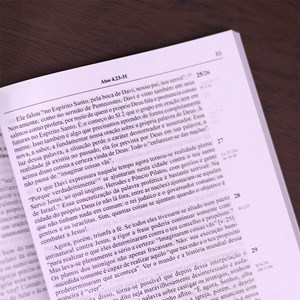 Comentário Evangelho de Atos dos Apóstolos | Werner de Boor