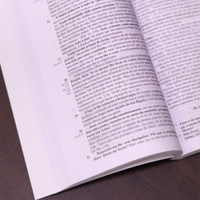 image_efadb3a2-340b-4146-9c1d-c264a04e0919