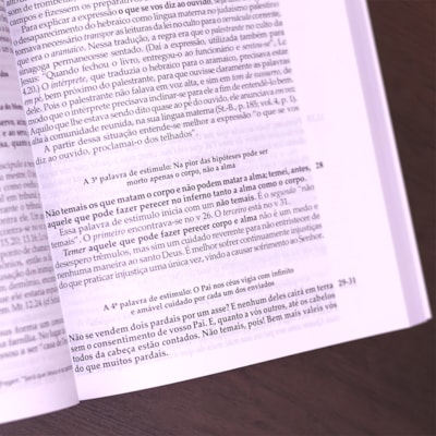 image_ae7113bf-01c3-46de-9a6a-c3e13febb8d3