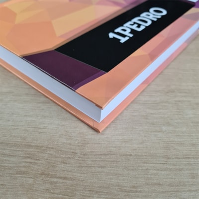 image_e2c5c2fb-69b4-409f-bf0d-cbe1d686f2b6