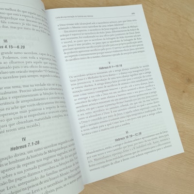 image_ba507290-baba-4242-8024-f46a38ec97c2