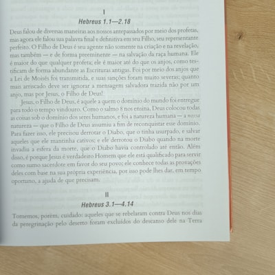 image_8a239658-246e-466e-b08c-c7ecc6363288