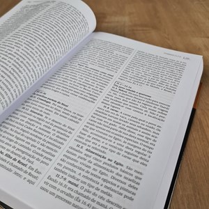 Comentário Histórico-Cultural da Bíblia | Antigo Testamento | John H. Walton