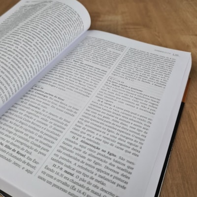 image_c9e49d86-8c13-4794-9792-fd6d41a68721