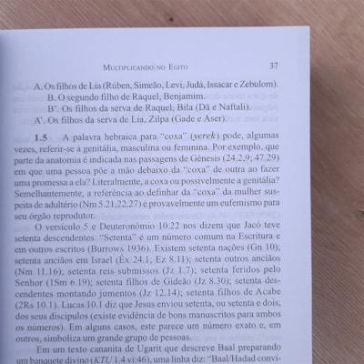 image_a2645f7b-a07a-4980-9216-6e756c3f4471