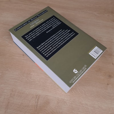 image_a594af15-e095-4d1d-997b-1a67f9494e2d