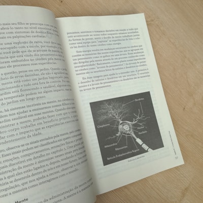 image_9dd2fadc-cb29-43b6-98dd-13faef682f99