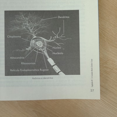 image_cd1e1182-7714-4e35-bf5c-d2de8cb62173