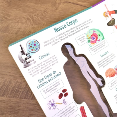 image_426c9f04-3bf3-497e-a4cc-9cece18a59e1