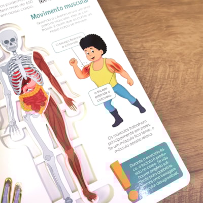 image_826de607-82da-4844-bfda-e22d117e5717