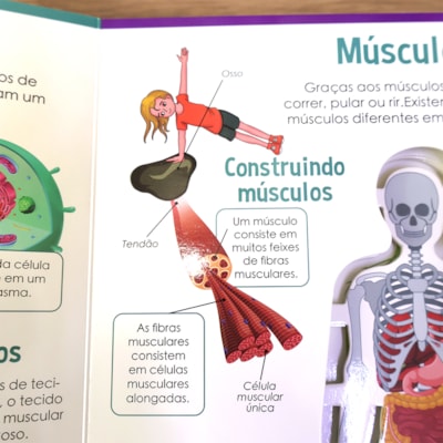 image_7cc446f5-d3b8-4bc4-9398-a923bd9a9be3