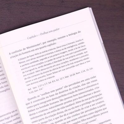 image_c9b306c4-6d78-4a36-a9c5-d705d7af1573