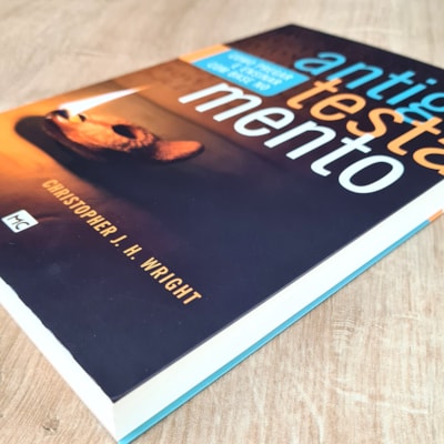 image_58dc3ffb-e1b1-434b-b11b-a26a960473ed