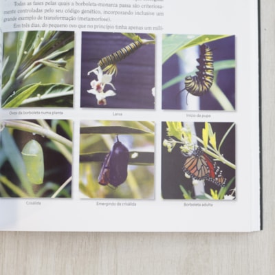 image_64b2bad9-af24-4779-b7b8-088f763345f7