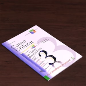 Segunda imagem do produto Como Utilizar? | Manual do Conselheiro para Ministérios Orientados pelos Dons
| Christoph Schalk