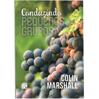 Conduzindo pequenos grupos | Colin Marshall