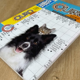 Segunda imagem do produto Coquetel Diretas | Médio | Ed. 32