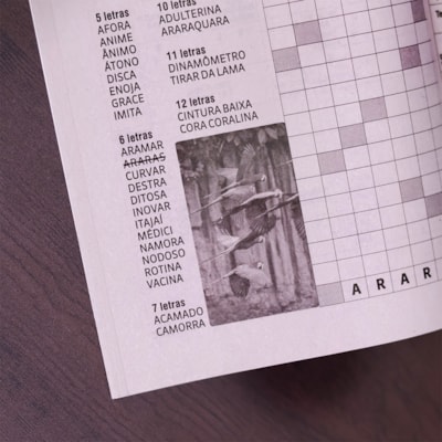 image_3d841a98-e2a0-4d82-95f3-723a82cd1ea2