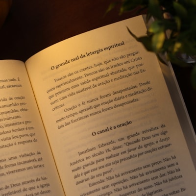 image_e10d7656-d45c-4c8c-9822-f3e665fbc185