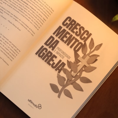 image_852ce66c-b48b-4a68-87b3-dbe612489cbc