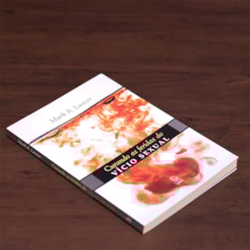 Segunda imagem do produto Curando as Feridas do Vício Sexual | 
                                Mark R. Laaser