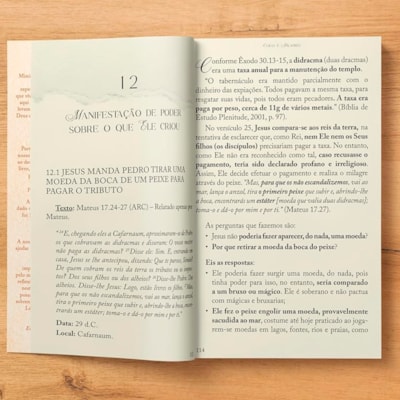 image_955a2e10-7a3d-437f-ab16-e0d6c6970b2f