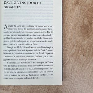 Davi | O Homem Segundo o Coração de Deus | Hernandes Dias Lopes