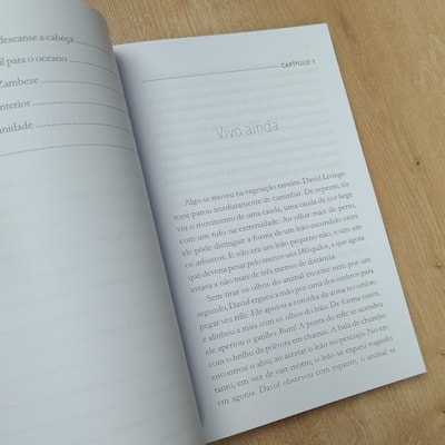 image_bf8ef6ad-1ba5-4aa1-b75e-fe9cea25e237