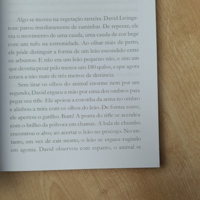 image_9a707cfe-ea80-41b7-a486-da8fc79d0b65