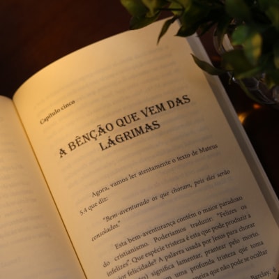 image_ab415544-0ad6-4872-a64e-6da9146ca5ce