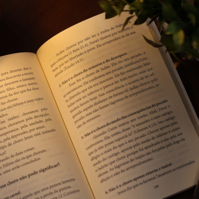 image_6679378c-0919-4ed2-a7a0-31f2dd40d7c9