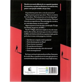 Segunda imagem do produto Deus e a Pandemia | N. T. Wright