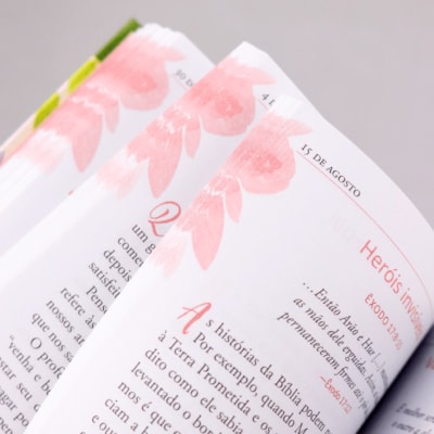 image_18f8574d-13f8-44e8-bf2b-210b2bcf3e64