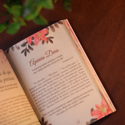 image_1997a2f9-dca3-4877-8d52-22f3109c498e