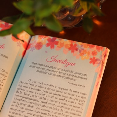 image_2916b147-d90b-404f-881c-af892a6a92c3