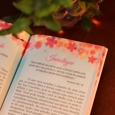 image_623db533-802e-4505-ab1c-82f612ace3ce