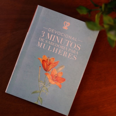 image_b218a129-0c0f-404d-ab4e-193cb98267a3